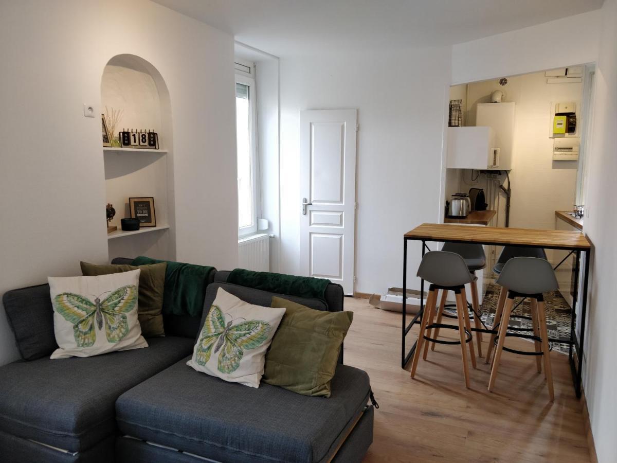 Cosy T2 31M2 - Centre-Ville Dijon - Gare Et Darcy מראה חיצוני תמונה